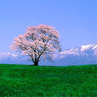 伟德体育官方网站入口